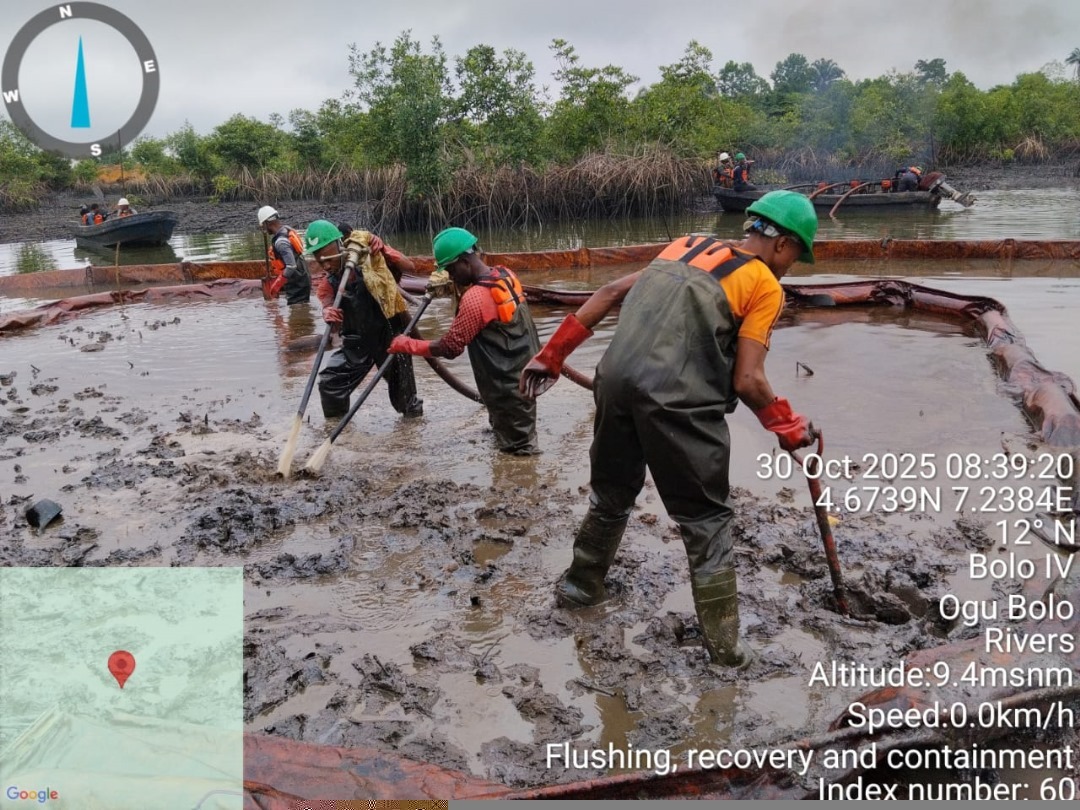 PHOTO-2026-03-02-16-54-22 2